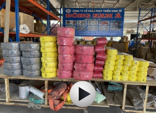 Cty CP Phát Triển Kinh Tế Đông Nam Á - 2010